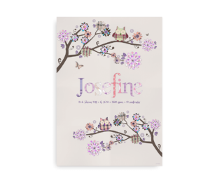 Personlig navneplakat til piger med dit eget navn omgivet af farverige blomster og ugler på en beige baggrund. Fødselsoplysningerne er også inkluderet.