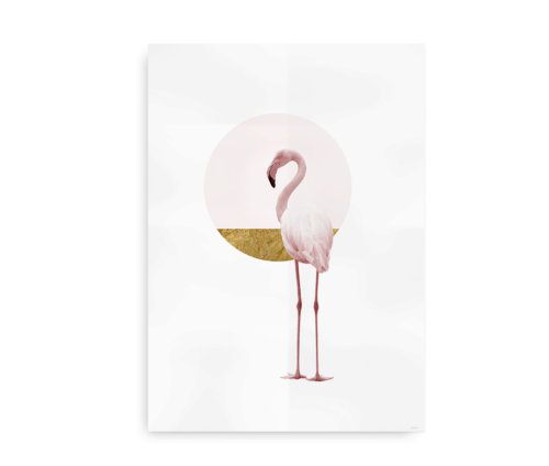 Golden Flamingo - fotokunst plakat