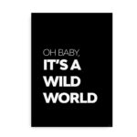 Baby it's a wild world - citat plakat sort