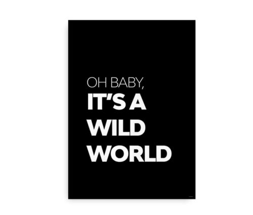 Baby it's a wild world - citat plakat sort