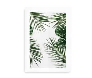 Plakat med et tropisk motiv af grønne Monstera- og palmeblade på en hvid baggrund i minimalistisk design.