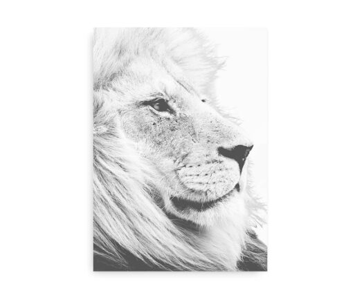 Lion Heart - plakat med løve