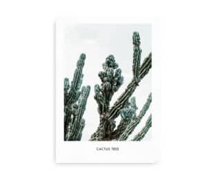 Plakat med en høj, detaljeret kaktus mod en lys himmel.