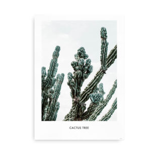 Cactus Tree - plakat med kaktus plakat