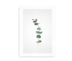 Plakat med en enkel eukalyptusgren mod en hvid baggrund.