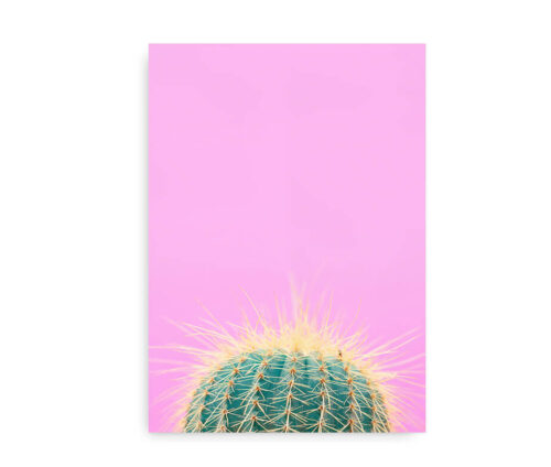 Fashion Cactus - plakat med kaktus