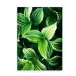 Green Plant Leaves - fotokunst plakat blade