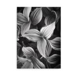 Green Plant Leaves - fotokunst plakat blade - sort hvid