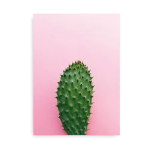 Pink Cactus - plakat med kaktus