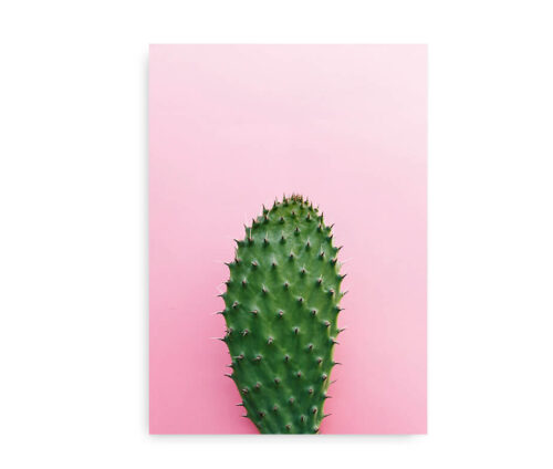 Pink Cactus - plakat med kaktus