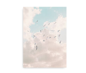 Plakat med en flok måger, der flyver gennem en blå himmel med bløde, lyse skyer i baggrunden.