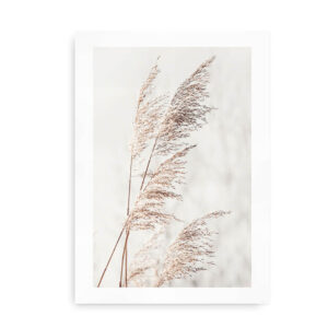 Pampas Grass by the Lake - fotoplakat