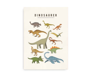 Plakat med illustrationer af forskellige dinosaurer i farver, herunder både kødædere og planteædere.