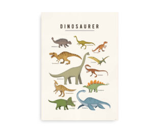 Illustration af forskellige dinosaurarter med navne, som inkluderer Tyrannosaurus, Brachiosaurus og Triceratops.