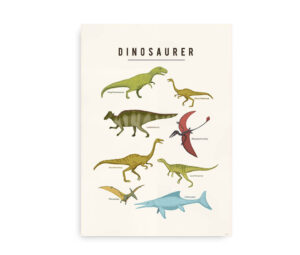 Plakat med farverige illustrationer af forskellige dinosaurer og deres navne, inklusive flyveøgler og havdyr.