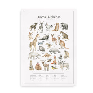 Animal Alphabet - Plakat det engelske alfabet med tegninger af dyr
