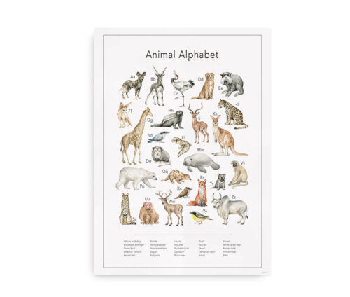 Animal Alphabet - Plakat det engelske alfabet med tegninger af dyr