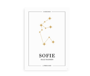 Personlig stjernebilledplakat med vandmandens gyldne konstellation, hvor navn og fødselsdato kan indsættes.