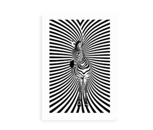 Sort-hvid plakat med en zebra og et optisk illusionsmønster i baggrunden.