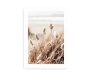 Nærbillede af sommerstrå ved kysten i bløde, naturlige toner.