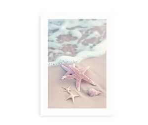 Plakat med nærbillede af søstjerner og en muslingeskal ved strandkanten.