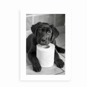 Sort-hvid plakat med en Black Labrador-hvalp og toiletrulle på gulvet.