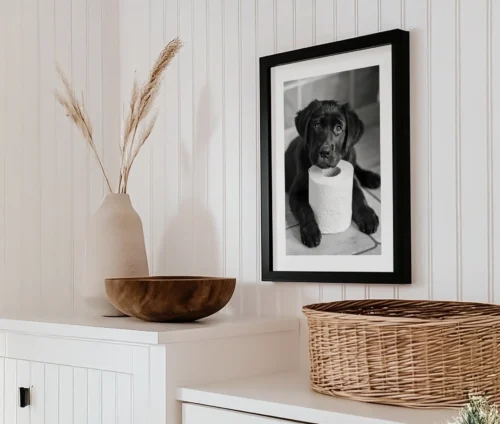 Indrammet sort-hvid plakat af Black Labrador-hvalp til vægophæng.