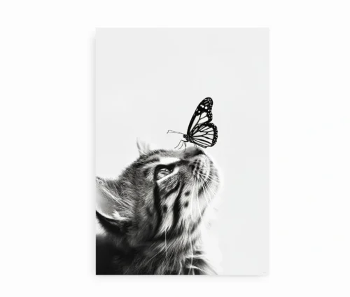Plakat af kat og sommerfugl på hvid baggrund, minimalistisk design.
