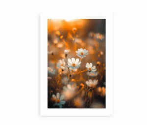 Efterårsblomster plakat med gyldne farver og sarte blomster i sollys.