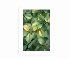 Kunstplakat med grønne blade i naturligt lys og subtile detaljer.