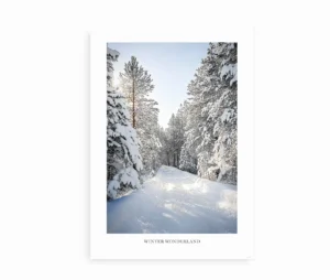 Winter Wonderland fotoplakat med vinterlandskab og sneklædte træer, trykt uden ramme.