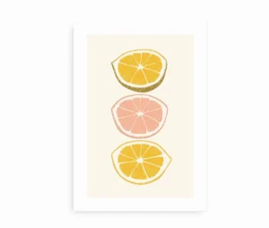 Minimalistisk plakat med tre citrusfrugter – citroner og grapefrugt på en lys baggrund.