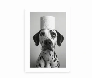 Sort-hvid plakat af dalmatiner med toiletpapirhat.