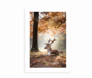 "Autumn Majesty"-plakaten som enkeltstående motiv med en hvilende hjort blandt efterårsblade.
