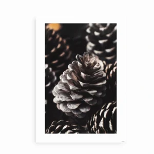"Pinecone Elegance"-plakat uden ramme med detaljerede kogler i naturlige toner.