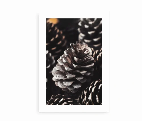 "Pinecone Elegance"-plakat uden ramme med detaljerede kogler i naturlige toner.