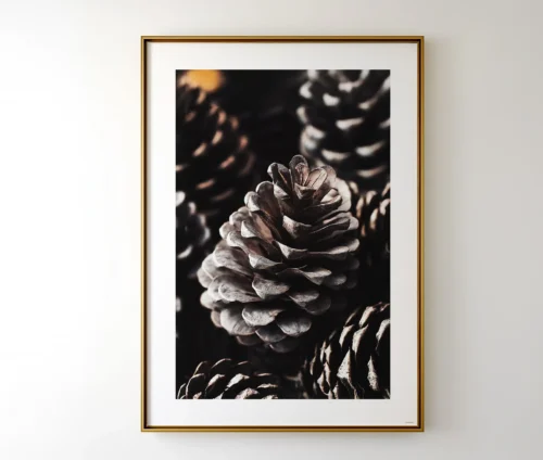 "Pinecone Elegance"-plakat indrammet i guldramme, der fremhæver koglernes teksturer og dybe toner.