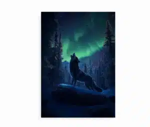 Plakat med hylende ulv og nordlys, set i en skovklædt naturscene.
