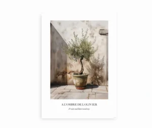 Plakat med oliventræ i krukke, inspireret af middelhavsstemning.