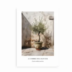Plakat med oliventræ i krukke, inspireret af middelhavsstemning.