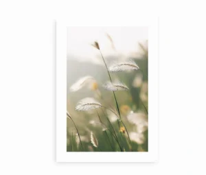 Plakat med græsstrå, der svajer i solen, i lyse og naturlige farver.