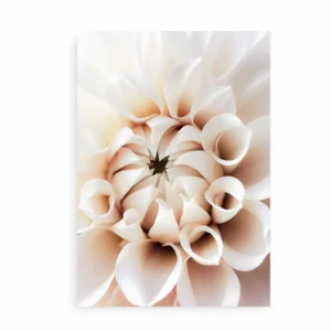 Plakat med nærbillede af en dahlia i bløde beige toner, vist uden ramme.