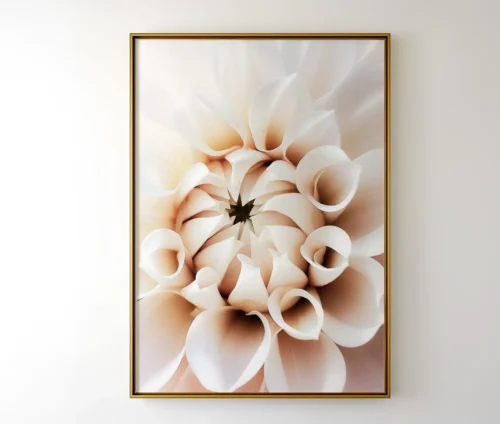 Plakat med en lys beige dahlia i en gylden ramme, hængt op på en hvid væg.