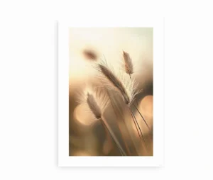 Plakat med nærbillede af gyldne hvedestrå i solnedgangens lys.