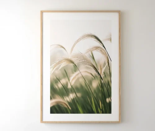 Indrammet plakat med naturmotiv af solbeskinnede græsstrå, hængende i en lys træramme.