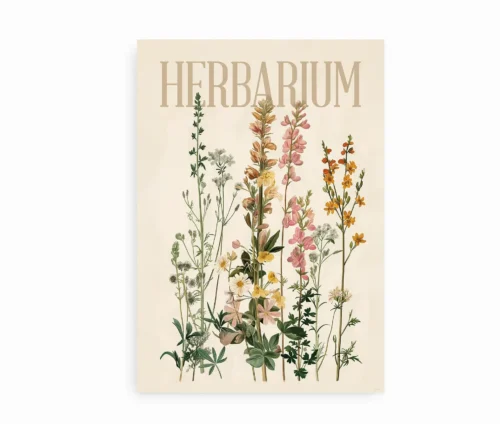Plakat med botaniske illustrationer i vintage herbarium-stil