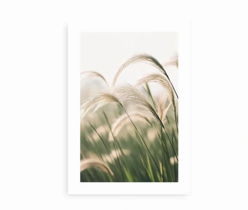 Plakat med græsstrå i solen, der svajer let i vinden, i naturlige grønne og beige nuancer.