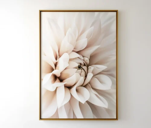 Stor blomstermotiv-plakat med en lys dahlia, indrammet i en gylden ramme og hængt på en hvid væg.