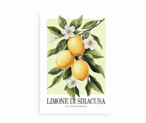 Plakat med illustration af citroner, grønne blade og hvide blomster.