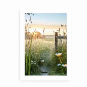 Plakat med solopgang over en eng med dugfriskt græs og vilde blomster.